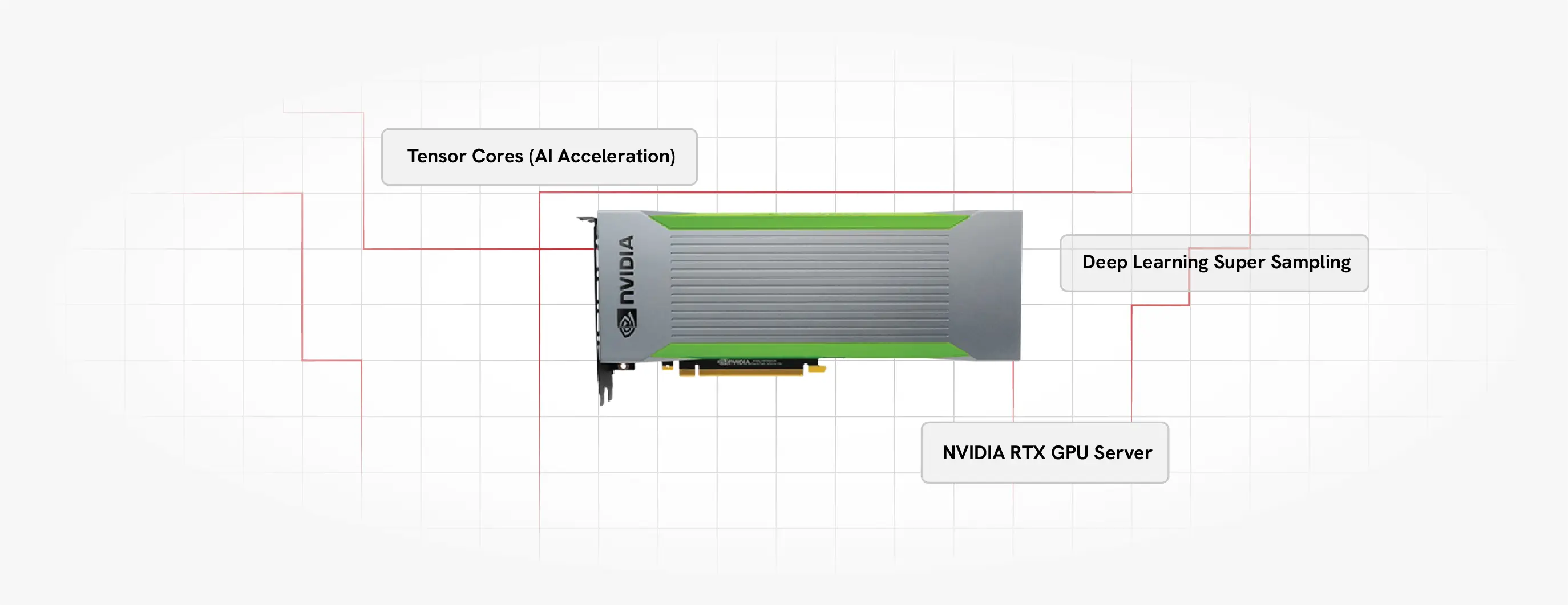 GPU dedicated servers powered by NVIDIA | Cantech