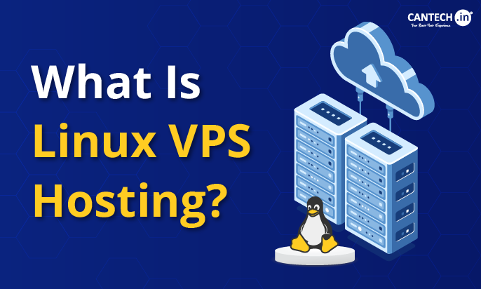 What Is Linux VPS Hosting