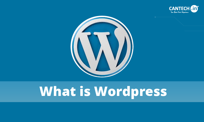 What is WordPress